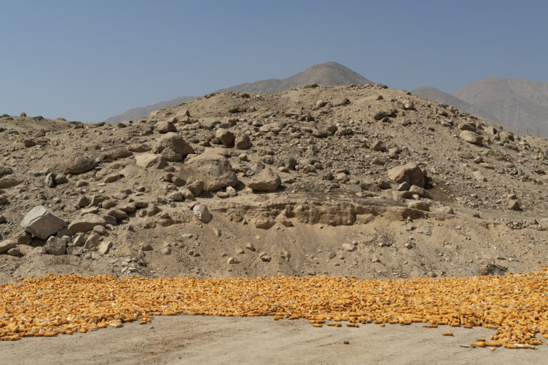 Cerro y choclos DSC_0480